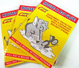 廠家直銷環保外貿粘鼠膠板——義烏市綠亞日用品廠，一站式采購指南